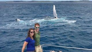 Tourists Get Photobombed By Whale