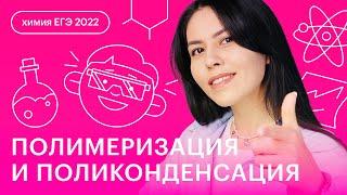 Полимеризация и поликонденсация | Химия ЕГЭ с Юлией Вишневской