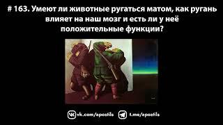 # 163. Умеют ли животные ругаться матом, как ругань влияет на наш мозг и есть ли у неё преимущества?