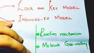 Enzymes Full chapter overview class 11| Enzymes chapter class 11| what is enzyme | Class 11 biology