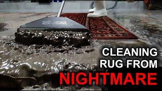 Washing a NIGHTMARE RUG  Black goo came out during washing 