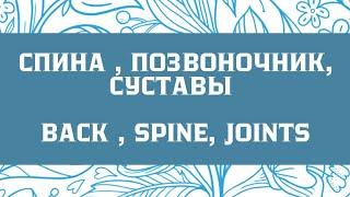 Спина, позвоночник, суставы |Back, spine, joints. Исцеление болей в спине |Reiki healing Meditation