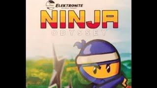 Ninja Odyssey for Intellivision - Sinistermoon's Retro Reviews