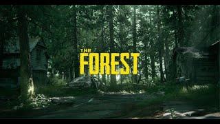 The Forest : Lần đầu vào game 