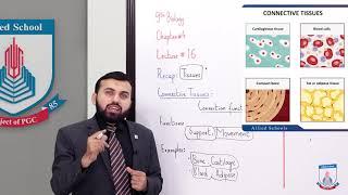 Class 9 - Biology - Chapter 4 - Lecture 16 Animal Tissues - Allied Schools