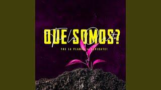 Que Somos?