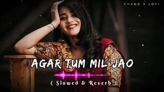 Agar Tum Mil Jao - | Slowed & Reverb |XLo-fi Songs#slowreverb#lofisong#90s#shreyaghoshal