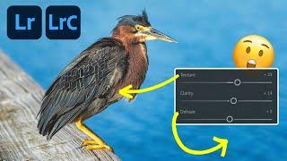 This Is How LIGHTROOM PROS Use Clarity, Dehaze, and Texture