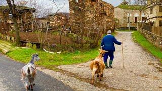 A Farm Life Part VI Abandoned Upper Village I Moved from NYC to a Bulgarian Village Lost in Time