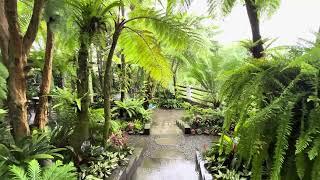 Beautifull Tropical garden house idea 2024