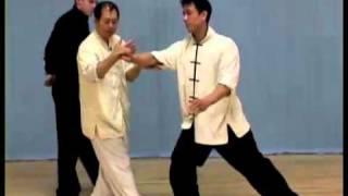 YMAA - Taiji Chin Na in Depth - Dr. Yang Jwing-Ming