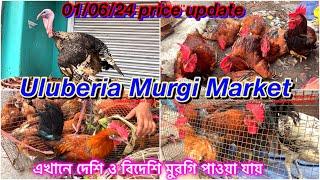 Uluberia Murgi Market Uluberia Pet market 01/6/24 price update today #cheapestprice #pet #murgi