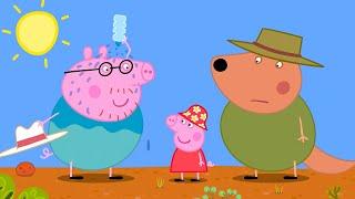 A Very Hot Day!  | Peppa Pig Official Full Episodes