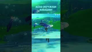 Меня окружили милашки... (выдры) ►Фог GENSHIN IMPACT 4.0 #shorts #геншинимпакт