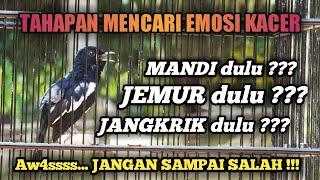 JANGAN SAMPAI SALAH !!! TAHAPAN MENCARI EMOSI KACER