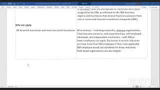 Guide to Understanding the SBA EIDL and Payroll Protection Loan Application Process