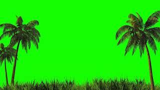 Palm Trees Green Screen Free Background Videos, No Copyright | All Background Videos