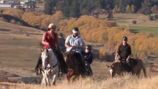 Back Country Saddles - Must do New Zealand