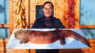 5kg Giant Salamander with Black Beans, Boiled in Hot Pot after Removing Mucus | Uncle Rural Gourmet