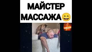 Майстер массажа  #shorts #кот #мужчина #массаж #спит #приколы #приколы2021 #приколы2020