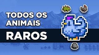 Animais RAROS no Stardew Valley - Como conseguir a Galinha AZUL e outros