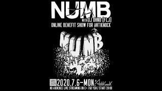 NUMB ONLINE BENEFIT SHOW FOR ANTIKNOCK