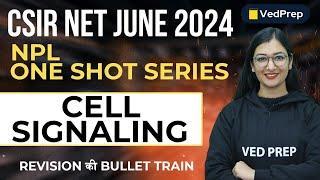 Cell Signaling in One Shot | Revision | NPL CSIR NET JUNE 2024 | VedPrep Biology Academy