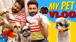 A Day with My Dogs | Shih Tzu Family | Mr Makapa