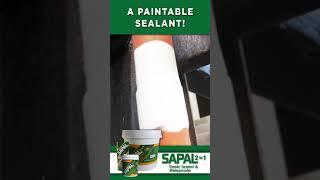 Buildrite Sapal 2 in 1: Paintable Sealant