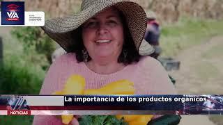 La importancia de los productos orgánicos