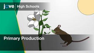 Primary Production | Bio | Video Textbooks - Preview