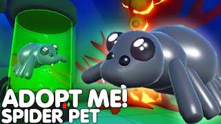 ️HOW TO NEW SPIDER PET IN ADOPT ME! GET FREE SPIDER PET NOW! NEW HALLOWEEN PETS! ROBLOX