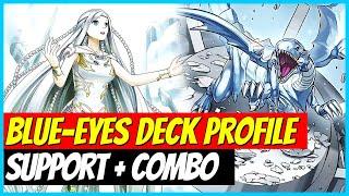 BLUE-EYES SUPPORT IST CRAZY | ULTIMATIVER COMBO GUIDE | Yu-Gi-Oh!