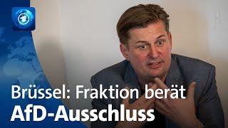 Rechte ID-Fraktion im EU-Parlament stimmt über AfD-Ausschluss ab