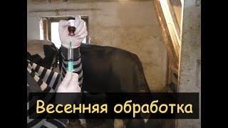 Это нужно и важно! Весенняя обработка коров от паразитов. Ставим уколы Эпримек.