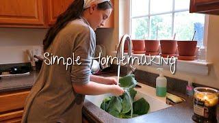 Simple Homemaking | Laundry, Dishes, Microgreens & Cabbage Dinner