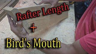 HOW TO Calculate and cut rafters w/bird's mouth!