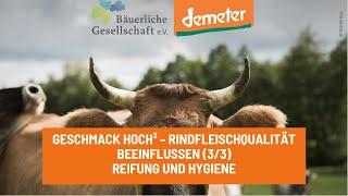 Geschmack hoch³-Rindfleischqualität beeinflussen- (3/3)- Reifung und Hygiene