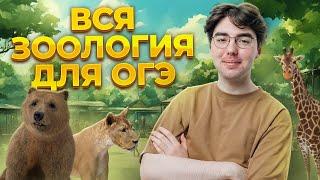 Вся зоология для ОГЭ | Теория, которая необходима для ОГЭ и ЕГЭ