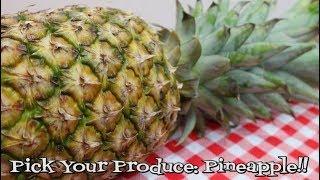 Pick Your Produce Pineapple ~ How To Choose a Pineapple ~ Easy Pineapple Prep ~ Noreen's Kitchen