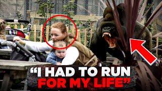 This Gorilla Broke Loose And Mauled Visitor Yvonne  | Bokito Story
