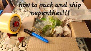 How to pack and ship nepenthes or any other tropical plants!!!