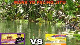 ADU !! Campuran Lumut Untuk Mancing Nila Dan Mujair Paling Ampuh || MANCING NILA LIAR