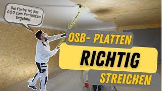 OSB richtig streichen/ MEGA Absperrgrund/ Wagner PP90