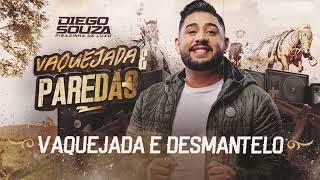 VAQUEJADA E DESMANTELO - Diego Souza (CD Vaquejada e Paredão)