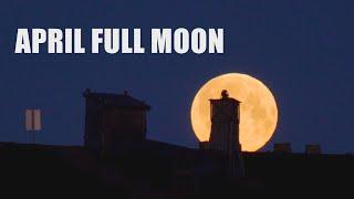 The April full moon - Pink Moon