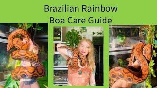 Brazilian Rainbow Boa Care Update