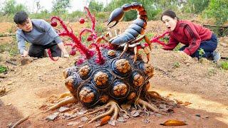 80% of people have never seen how to harvest scorpion yams using this method - Caring for a sick son