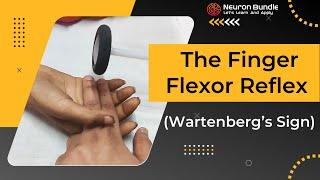 Wartenberg’s sign | Finger flexor reflex | babinski - upper limb reflex #neurology #medschool