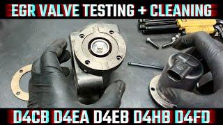 HYUNDAI KIA EGR TESTING & CLEANING | GRAND STAREX SORENTO SANTA FE SPORTAGE TUCSON CARENS